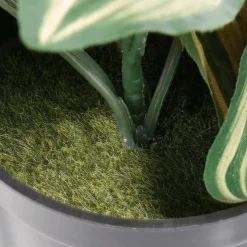 Tradecantia Colgante En Maceta De 30 Cm De Altura Verde