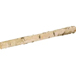 Tronco De Abedul 100 Cm Aprox. 6-10 Cm Ø