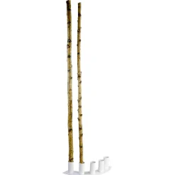 Troncos De Abedul Decorativos, 170 Cm, 5 Piezas