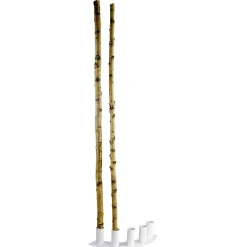 Troncos De Abedul Decorativos, 220 Cm