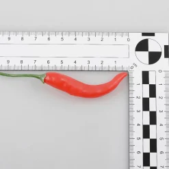 Vainas De Chili Alimento De Imitación, 36 Piezas