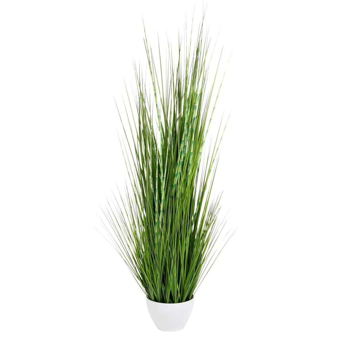 XXL Deco Tiger Grass En Maceta Blanca 120 Cm