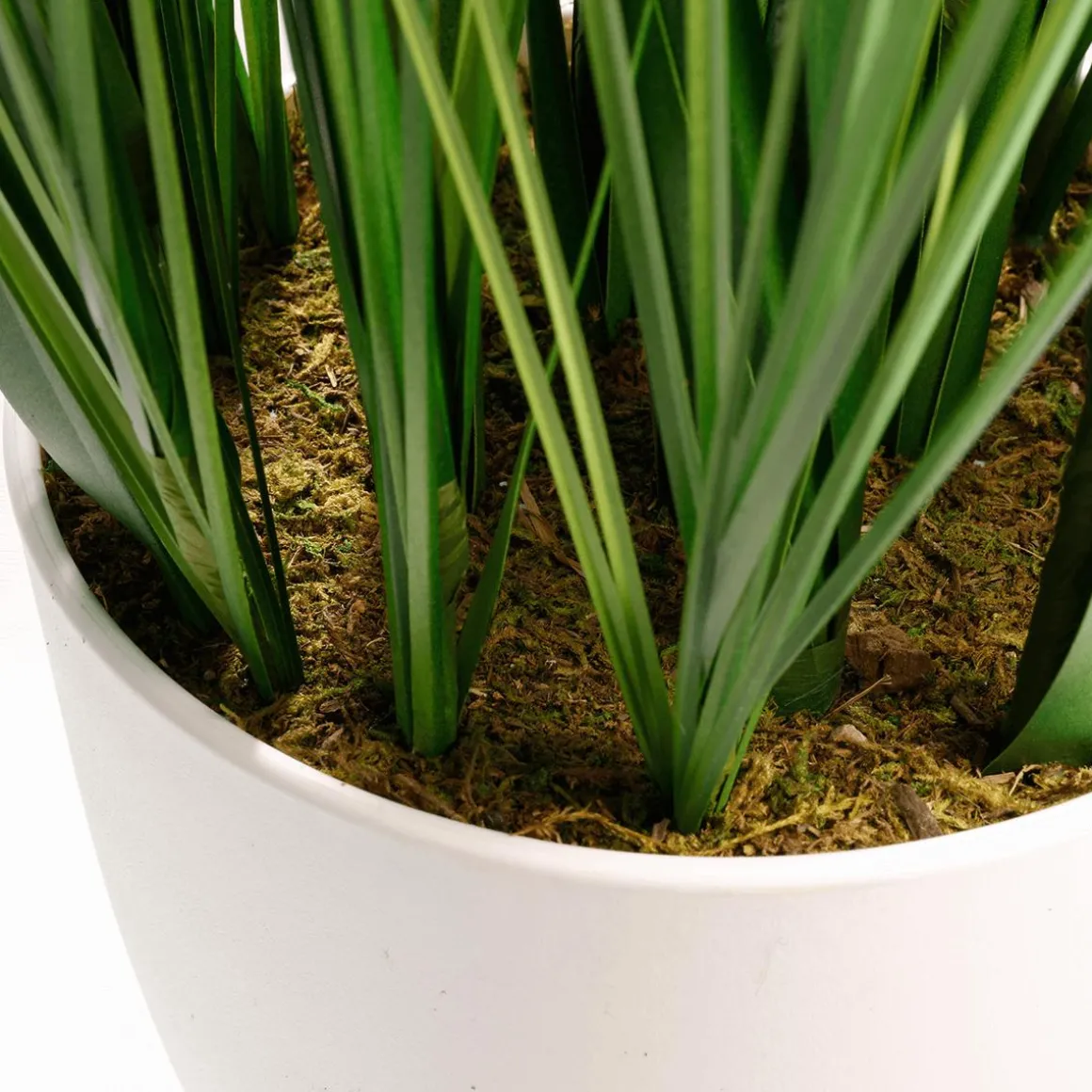 XXL Deco Tiger Grass En Maceta Blanca 120 Cm
