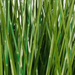 XXL Deco Tiger Grass En Maceta Blanca 120 Cm