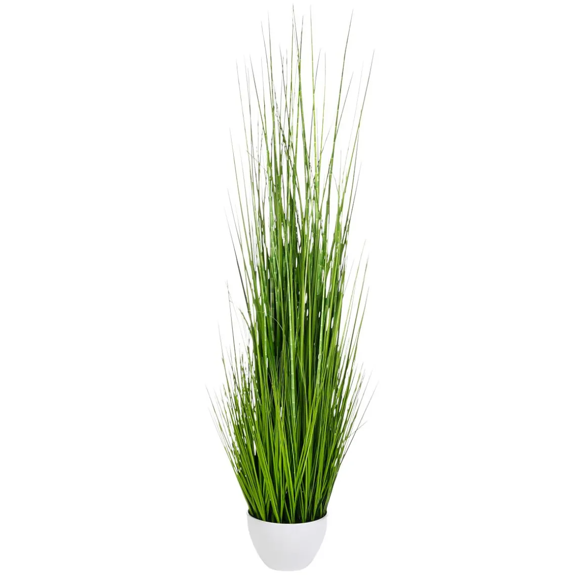 XXL Deco Tiger Grass En Maceta Blanca 150 Cm