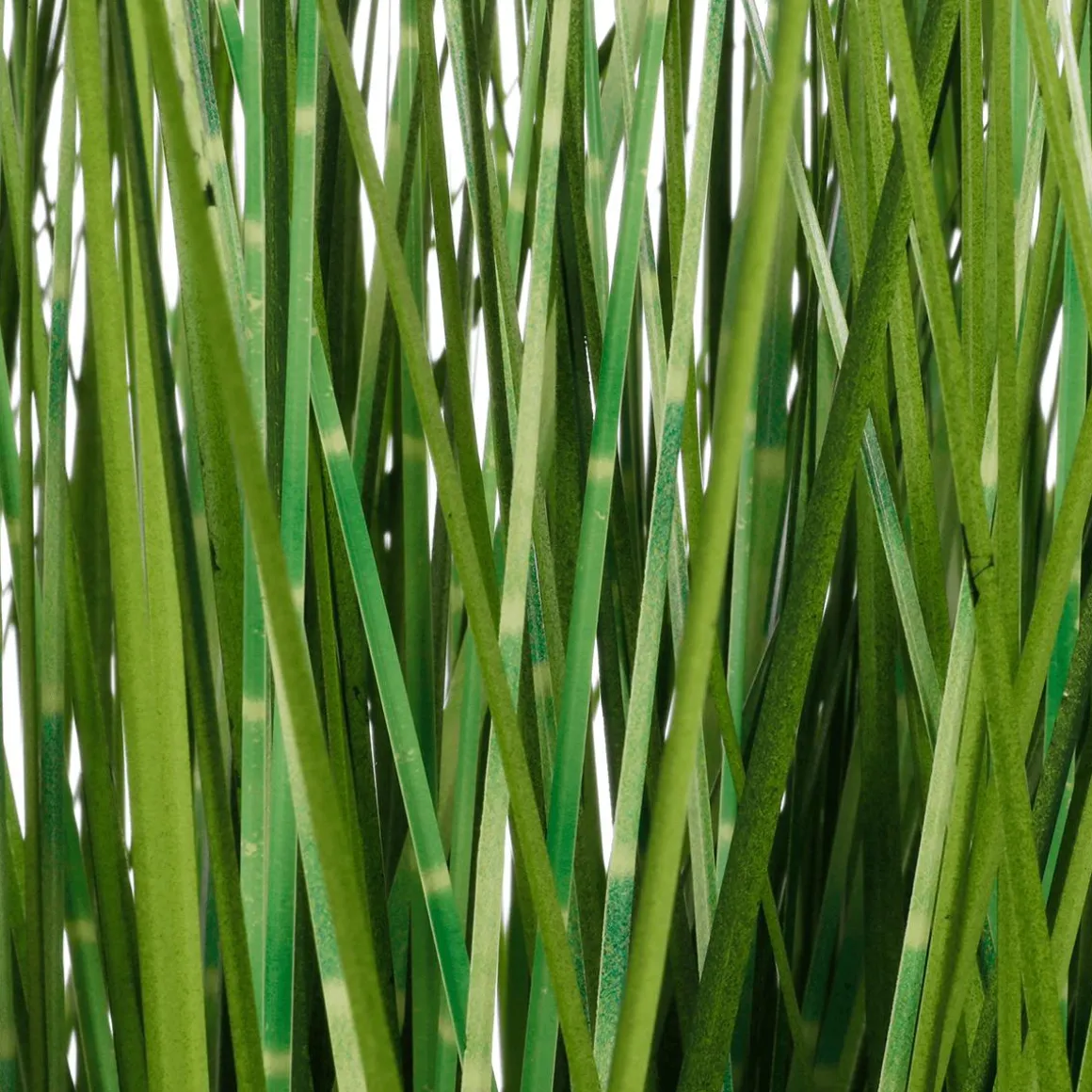 XXL Deco Tiger Grass En Maceta Blanca 150 Cm